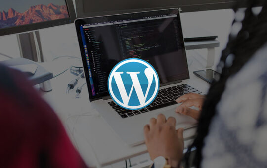 Formation débutant WordPress